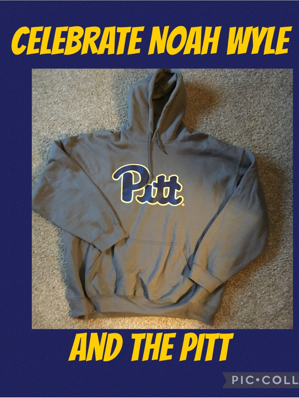 Gildan Pitt Hoodie Sweatshirt Gray XXL